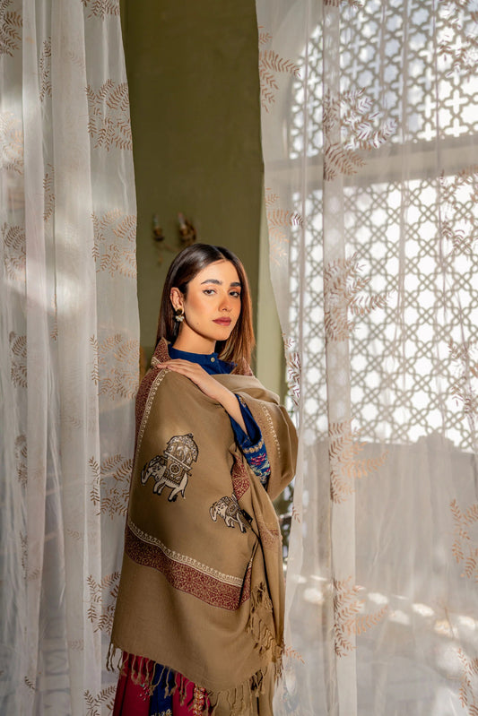 Block Printed Pashmina Shawl - AW22-33