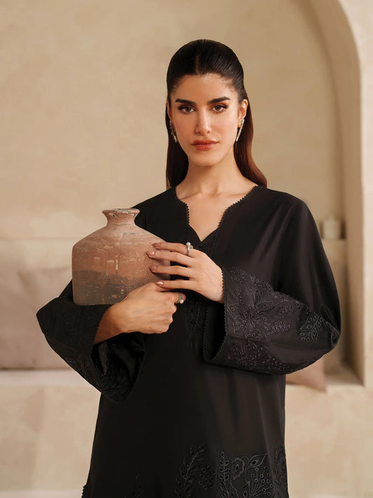 2 Piece Embroidered Set - Taajdar