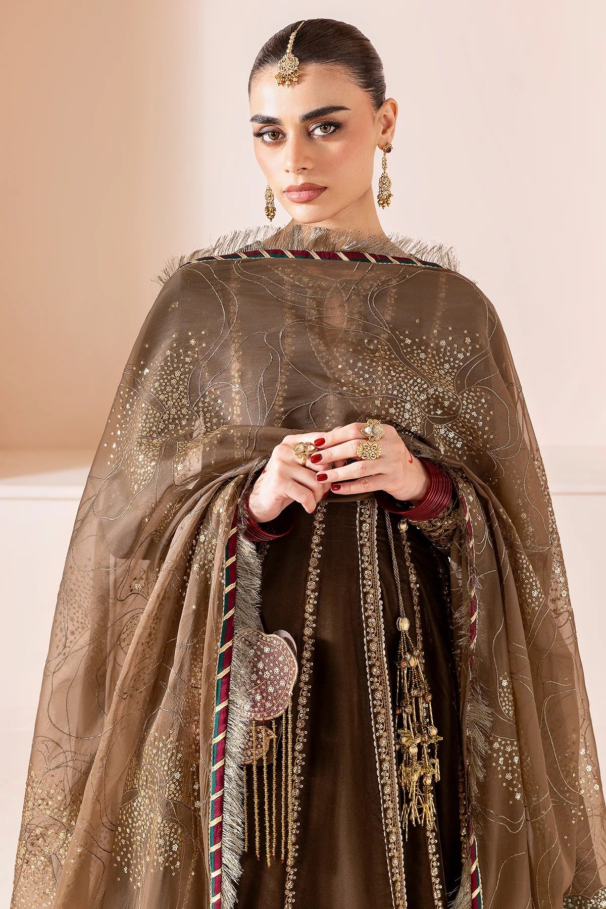 Embroidered Velvet Formal D-04