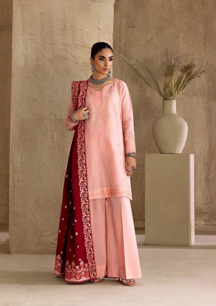 Embroidered Ready to Wear D103