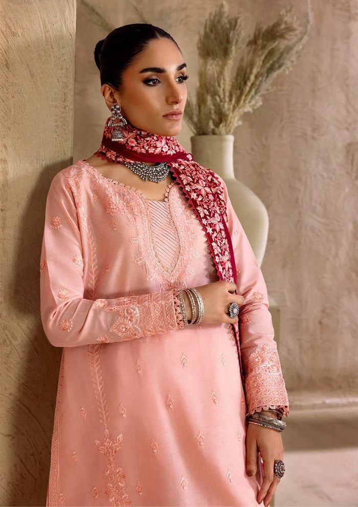 Embroidered Ready to Wear D103