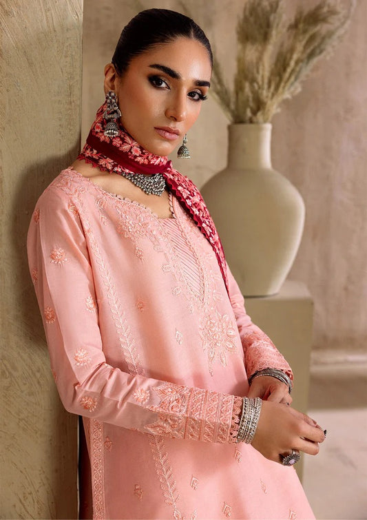 Embroidered Ready to Wear D103