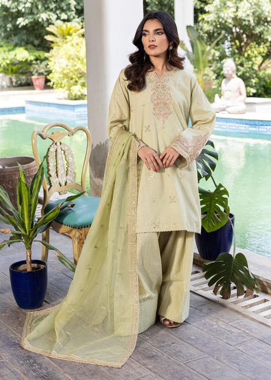 Farshi Shalwar - Jaquard