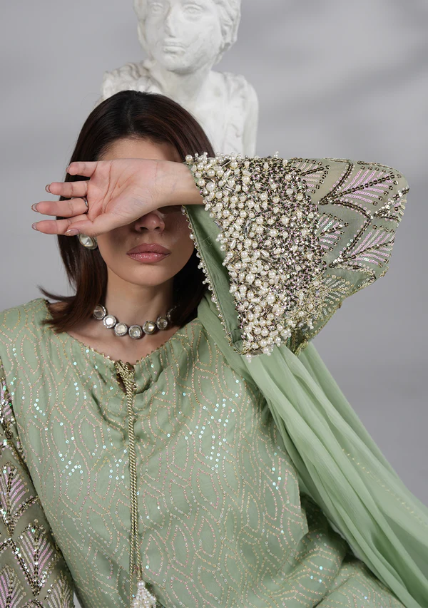 Luxury Chiffon 3 Piece - AM-19