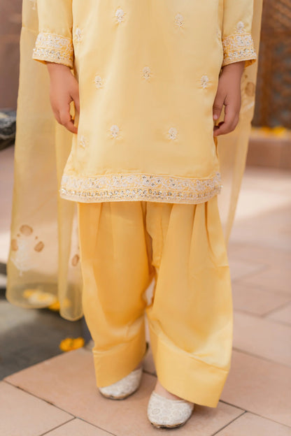 Pale Yellow Silk Suit - 3pc