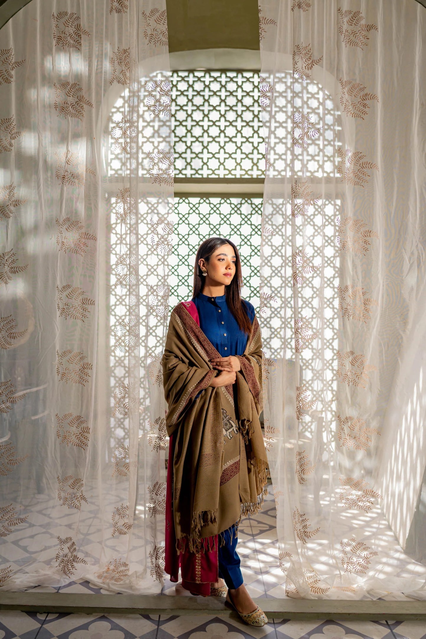 Block Printed Pashmina Shawl - AW22-33