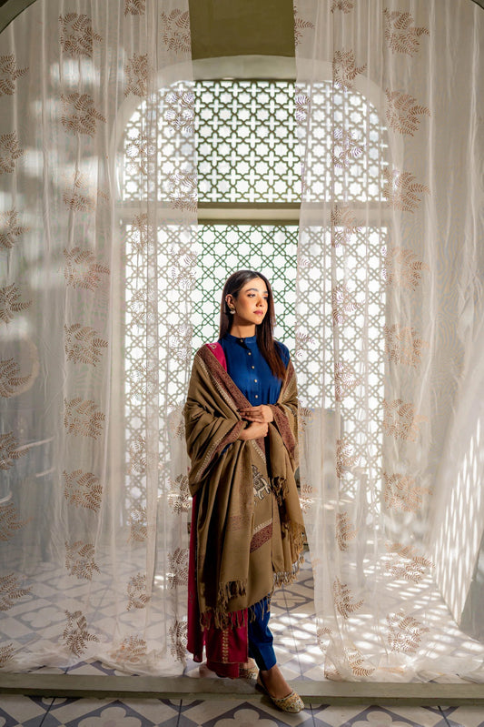 Block Printed Pashmina Shawl - AW22-33