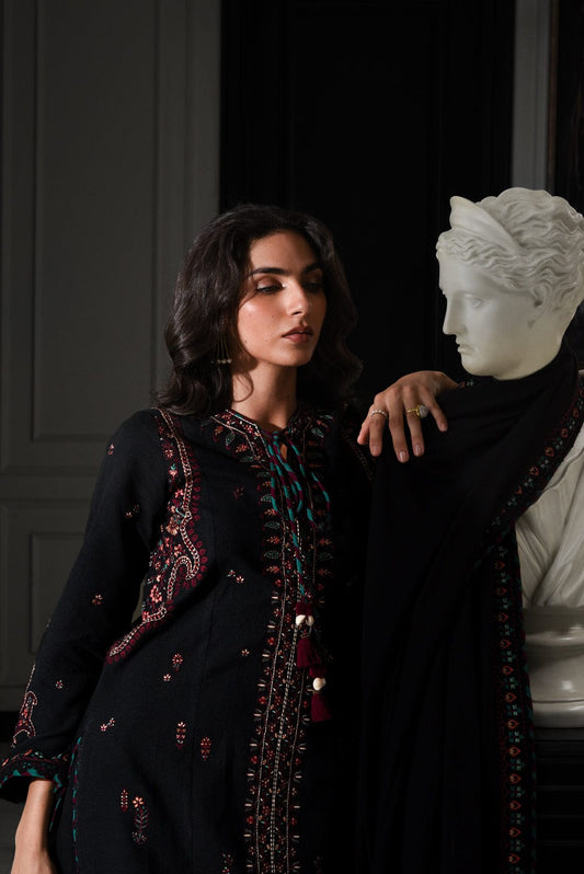 Luxury Embroidered Karandi Set - Kashmiri Black
