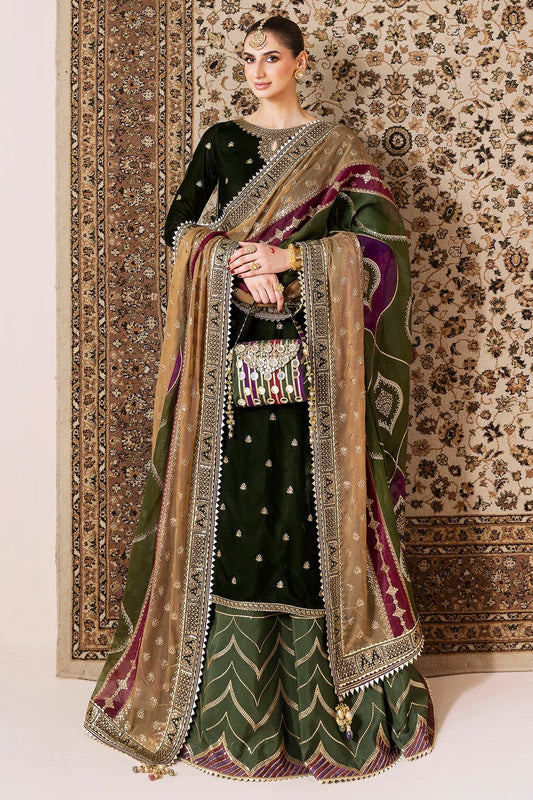 Embroidered Velvet Formal  D-09