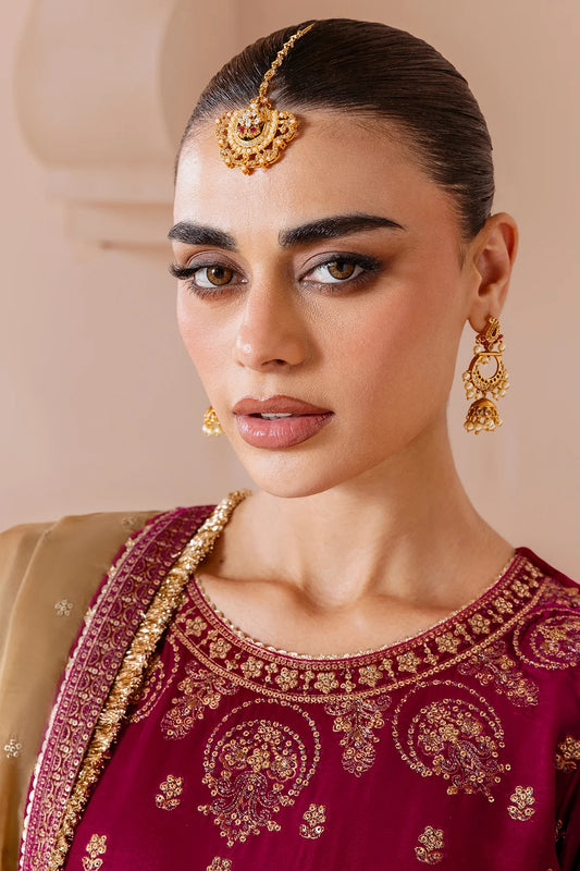 Embroidered Velvet Formal  D-11