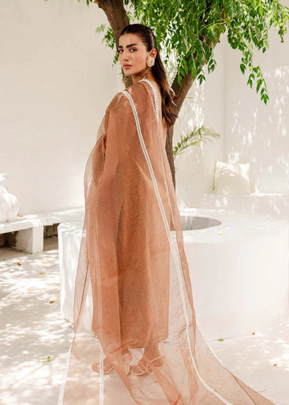 Silk Pret 3pc - Hazel