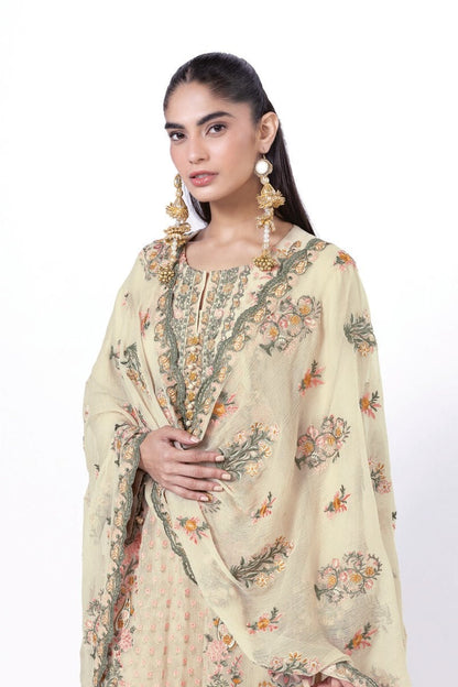 Embroidered Chiffon Suit - AS1905