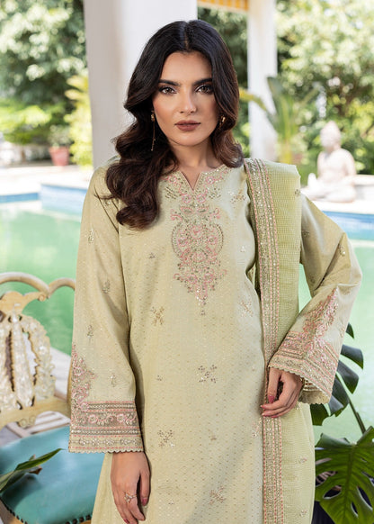 Farshi Shalwar - Jaquard