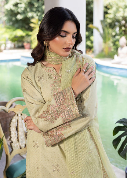 Farshi Shalwar - Jaquard