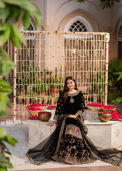 3 PIECE LUXURY VELVET - MEHVAR